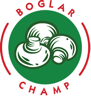 Boglar Champ Logo
