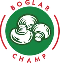 Boglar Champ logo